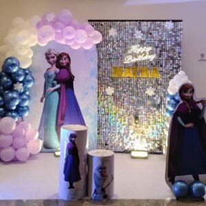 Frozen Theme Decoration